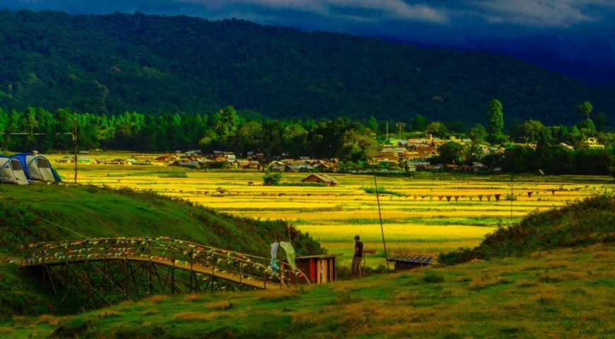 tarin-fish-farm-paddy-cultivation-img